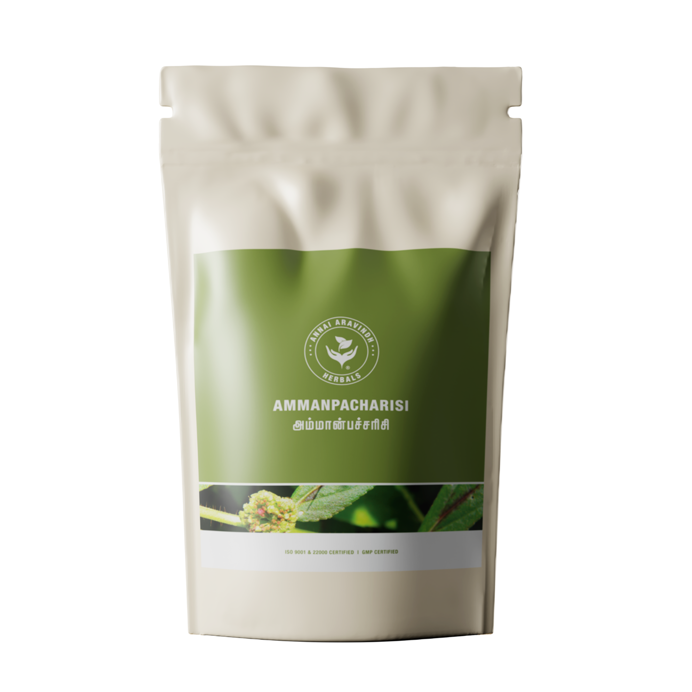 Ammanpacharisi Powder / Dugdhika 50 gms